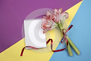 Open blank notepad and bouquet of pink flowers on table top view in flat lay style