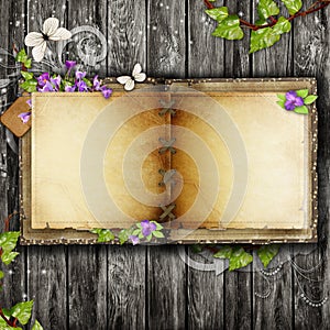 Open blank vintage book