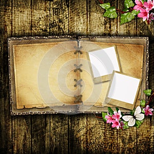 Open blank vintage book