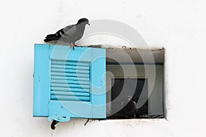 Window on concrete  wall