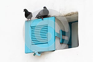 Window on concrete  wall