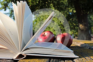 Open book and apples. Outdoor picnic. Ripe juicy red apples on old wooden table with moss in sunny day outdoors against green tree