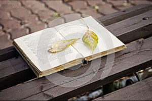 Open book on a bench with an autumn leaf