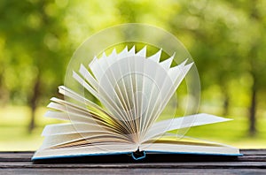 Open book on a bench in park in a sunny day, reading in the summer, education, textbook, back to school concept