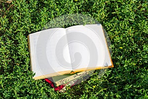 Open book with blank pages on green grass