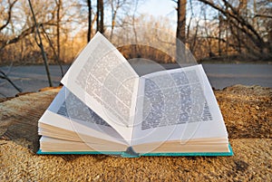 An open book in blue bound lying on a stump background of the nature forest trees road. Turn pages