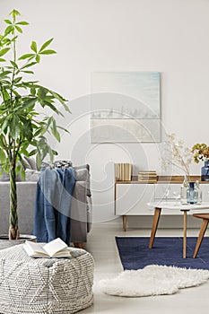 Open book on comfortable pouf in white, grey and navy blue living room interior with big green plant