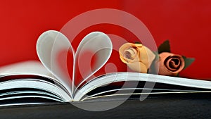 Open book with curved pages in a heart shape