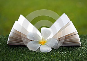 Open book with flower on grass