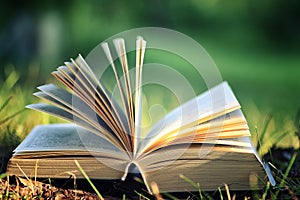 Open book with flower on grass