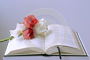 Open book with flowers