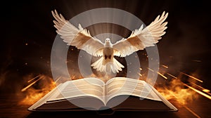 Open book with flying white dove on dark background with rays of light.