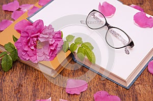Open book, glasses for reading and rosehip flower petals on a wooden table