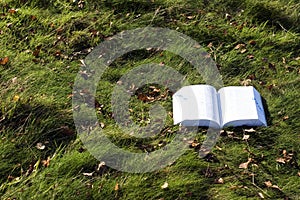 Open book on grass