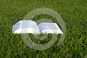 Open book on green grass