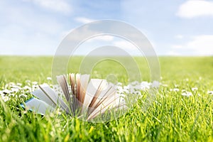 Open book on green grass in a field with daisys background