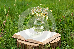 Open book and jar with chamomiles on green grass outdoors