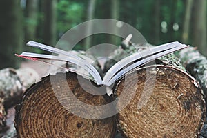 An open book lies on felled trees save trees - read ebooks concept