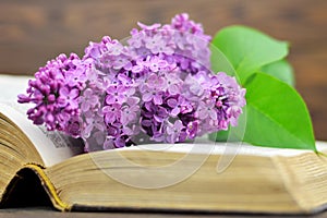 Lilac flower on open book