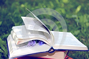 Open book on nature background. Knowledges is power