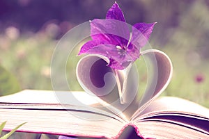 Open book on nature background. Knowledges is power