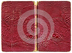 Open book or notebook - tattered vintage cover with artificial lizard leather