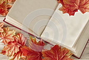 Open book with old blank pages as copy space and autumn fallen leaves.