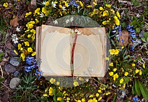 Open book with old shabby bages in grass and flowers