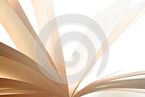 Open book pages abstract background texture on white