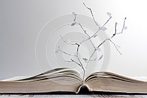 Open book and paper letters tree concept