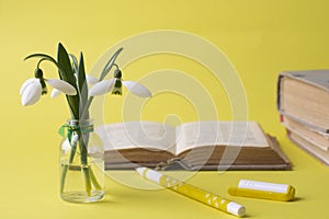 Open book, pen and a bouquet of snowdrops on a yellow background