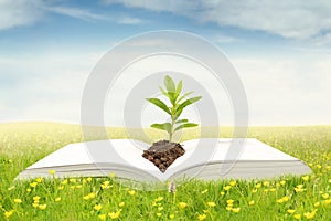 Open book with plant on meadow