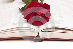 Open book and red rose