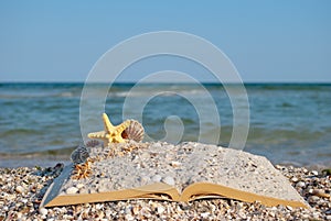 Open book sand seashells sea star beach sea shore blue sky white wave summer weekend vacation