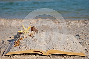 Open book sand seashells sea star beach sea shore blue sky white wave summer weekend vacation