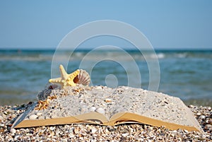 Open book sand seashells sea star beach sea shore blue sky white wave summer weekend vacation