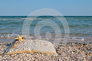 Open book sand seashells sea star beach sea shore blue sky white wave summer weekend vacation