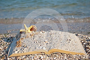 Open book sand seashells sea star beach sea shore blue sky white wave summer weekend vacation