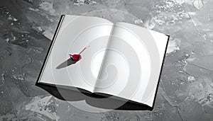 Open Book with Single Red Rose and Shadow