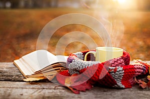 Open book and tea mug with warm scarf