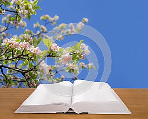 Open book on wood at spring background