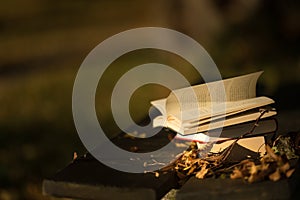 Open book on a wooden bench in autumn park. In the peace lies the strength