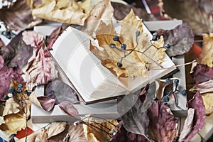 Open book in wooden frame close-up covered with dry autumn leaves, sunny fall day, vintage background. Top view. Concept