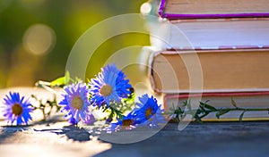 Open book on wooden table on natural background. Soft focus