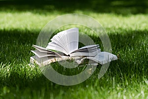 Open books on grass in a green park