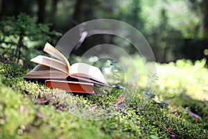 Open books outdoor. Knowledge is power. Book in a forest. Book on a stump