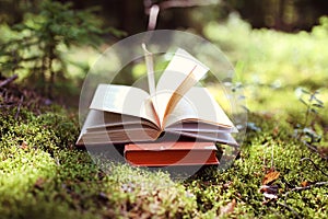 Open books outdoor. Knowledge is power. Book in a forest. Book on a stump