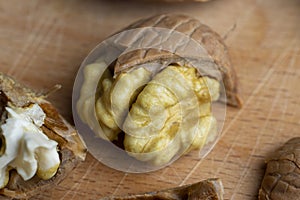 Open and broken walnut shells lying on the table