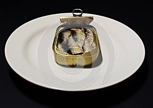 Open can of sardines on a isolated background