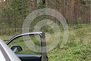 Open Car Door at Forest Edge